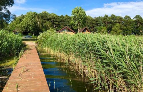 a wooden bridge over a river with tall grass at Bajkowa Przystań domki nad jeziorem in Żoń