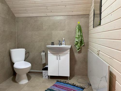 un bagno con un water e un lavandino di Чан Баня Басейн a Mizhhirya