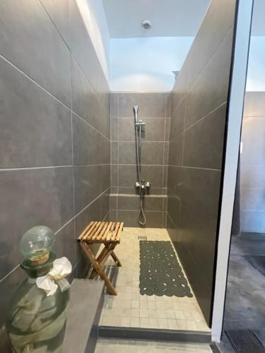 une salle de bain avec une douche avec un banc dedans dans l'établissement Maison Perigord Noir Chez Daniela, à Carsac-Aillac