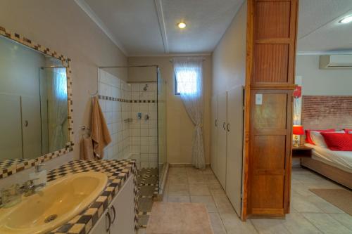 een badkamer met een wastafel en een douche bij Khoi-Khoi Guesthouse in Otavi