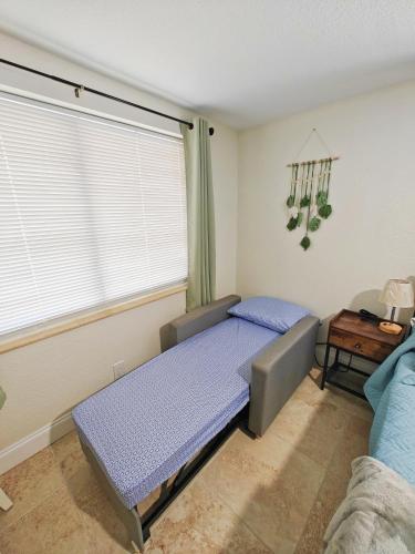 a room with a bed and a couch and a window at Amazing guest unit central location in St Petersburg