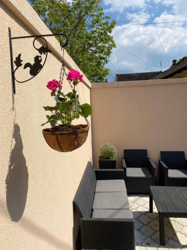 a patio with a potted plant hanging on a wall at Lotus house in Zrenjanin