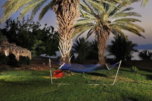 a hammock in front of two palm trees at בקתה בתמרים in Moshav Ramot