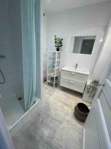 une salle de bain avec douche et lavabo dans l'établissement Lovely appartment with 2 bedrooms Nice Libération, à Nice