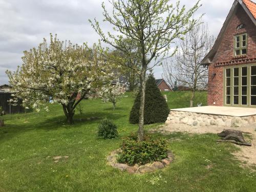 a tree in a yard next to a building at Gästehaus Weidenkörbchen in Jork