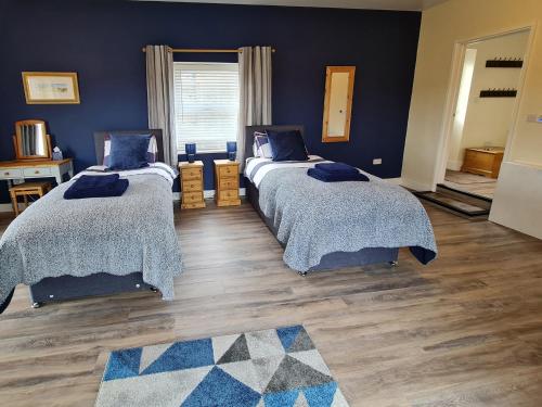 two beds in a room with blue walls and wooden floors at Sewin Cottage in Carmarthen