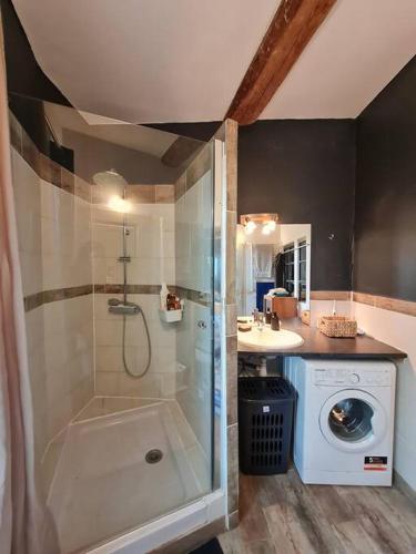 une salle de bain avec douche et machine à laver dans l'établissement Appartement 70 m2 avec terrasse, proche de la mer, à Paulhan