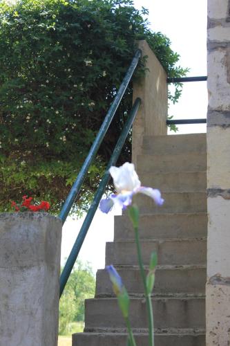 Zdjęcie z galerii obiektu Appartement en Camargue w mieście Saint-Hippolyte