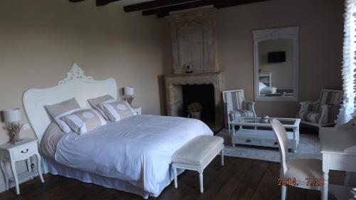 ein Schlafzimmer mit einem großen weißen Bett und einem Kamin in der Unterkunft Domaine de Nalou 