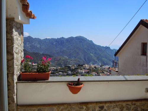 two potted plants on a window sill with a view at B&B Oliva in Scala