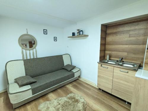ein Wohnzimmer mit einem Sofa und einem Waschbecken in der Unterkunft Sweety-Apartman in Mátészalka