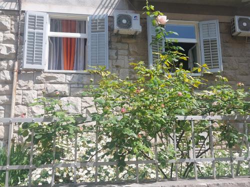 a house with a tree in front of a fence at Central Jardin Guest House Split in Split