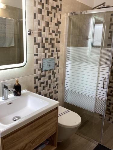 a bathroom with a sink and a toilet and a shower at Casa Charma in Émbonas