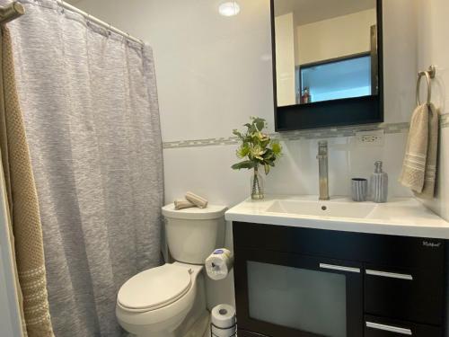 a bathroom with a toilet and a sink and a mirror at Marbella del Caribe Isla Verde Beachfront in San Juan