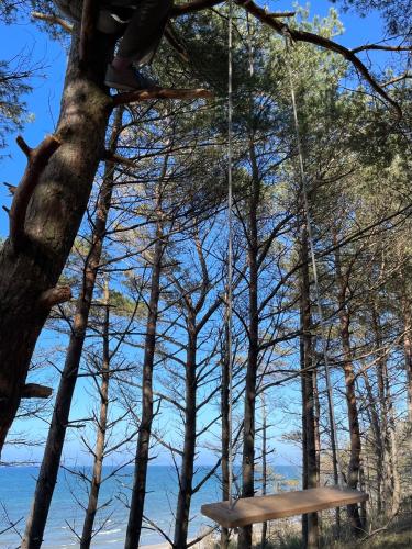 Φυσικό τοπίο κοντά σε αυτό το διαμέρισμα