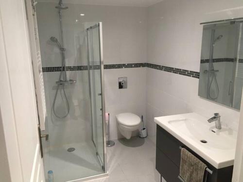 une salle de bain avec une douche, des toilettes et un lavabo dans l'établissement F2 REZ DE VILLA ENTRE MER ET MONTAGNE, à San-Martino-di-Lota