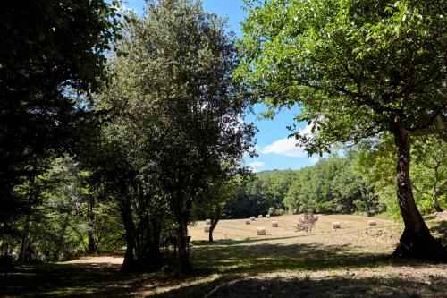 a field with trees and animals in the distance at Domaine de Cantegrel - Gîtes de Charme et Suite Troglodyte en Périgord in Vitrac