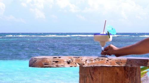 a person holding a drink on top of a table near the ocean at Cabanas ecoturisticas Costa Maya in Mahahual