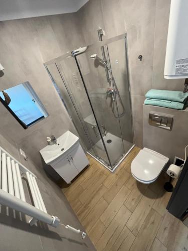 a bathroom with a shower and a toilet and a sink at Apartamenty Dębina 300m do plaży in Debina