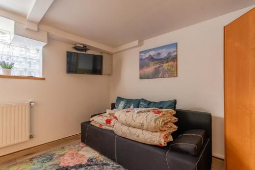 salon z kanapą i telewizorem w obiekcie Willa Ela Cri w Zakopanem