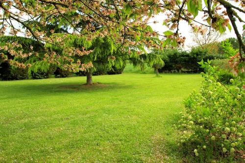 a park with a tree in the middle of a field at le mas des cerisiers le temple sur lot in Le Temple-sur-Lot