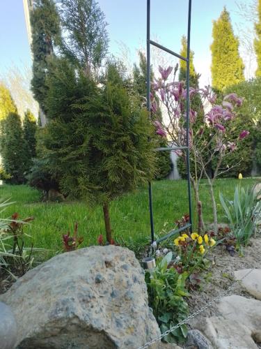 a garden with a tree and a rock at Casa Mamei in Suceava