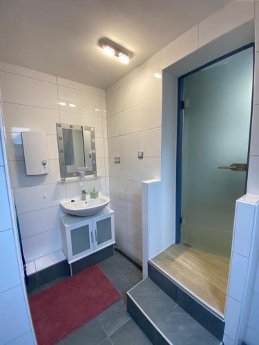 Königsbronn的住宿－Apartment Q im Zentrum von Königsbronn，一间带水槽和淋浴的浴室