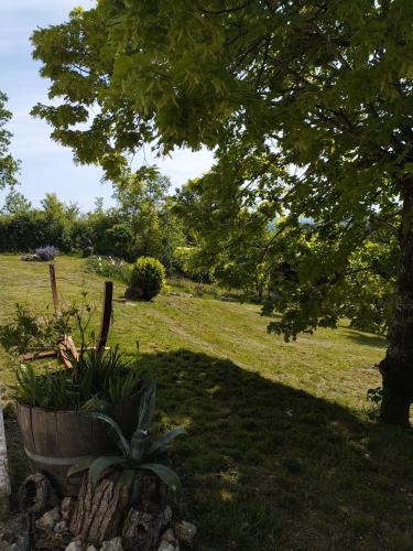 a park with a tree and a bench in the grass at La Coste Blanque in Montaut