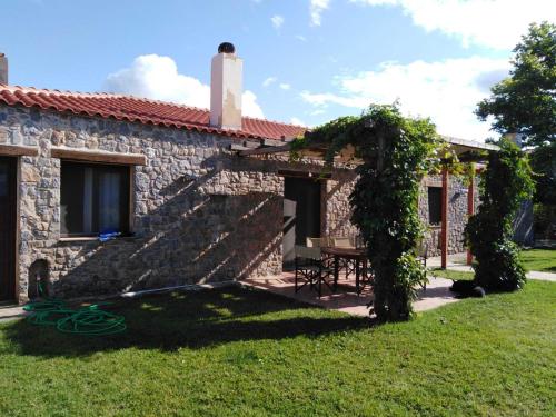 Сад в Villa Agali.