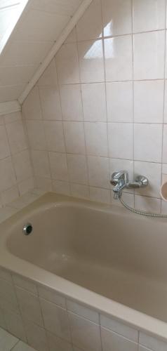 a bathroom with a bath tub with a sink at Ferienwohnungen Miklautsch in Faak am See