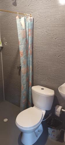 a bathroom with a toilet and a shower curtain at Lagunero Trek B&B in Mesetas