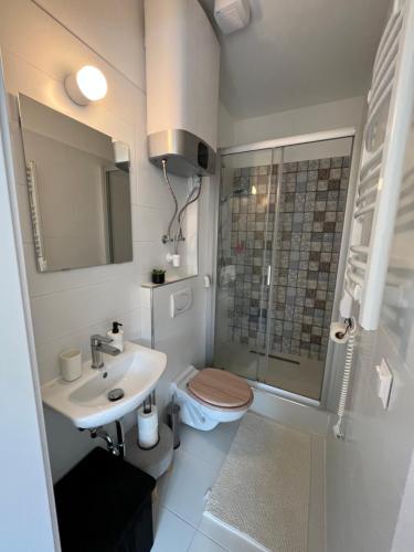 W łazience znajduje się umywalka, toaleta i prysznic. w obiekcie Lila Apartman w Balatonföldvárze