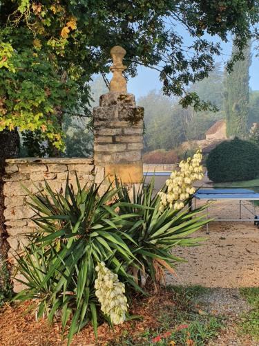 a stone wall with a statue next to a plant at Les Pierres Lotoises - gîte les grandes pierres in Reilhaguet