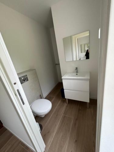 Barbaggio的住宿－Maison 9 couchages avec piscine et jardin au calme，一间带卫生间、水槽和镜子的浴室