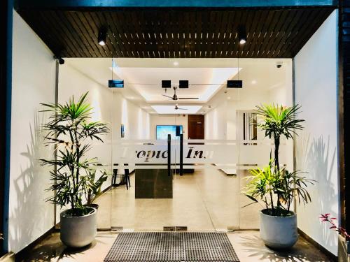 an office with two potted plants in a hallway at Tropic Inn - Mount Lavinia in Mount Lavinia