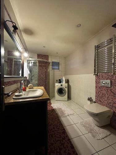 a bathroom with a sink and a washing machine at İsra Suit in Trabzon