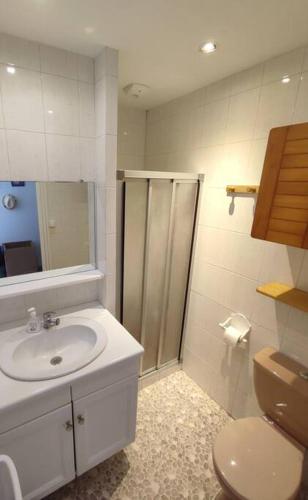 une salle de bain avec toilettes, lavabo et douche dans l'établissement Maison dans résidence calme avec piscine chauffée, à Le Trait dʼUnion