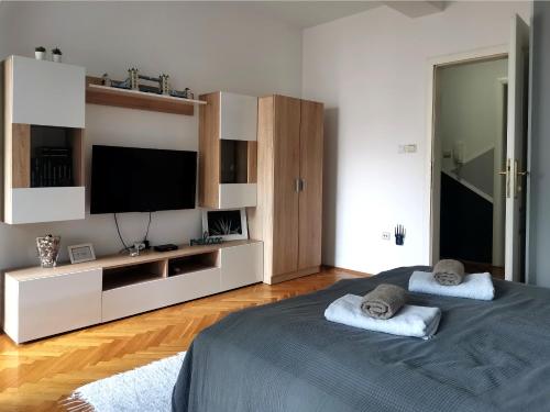 Телевизор и/или развлекательный центр в Center Apartment Iva