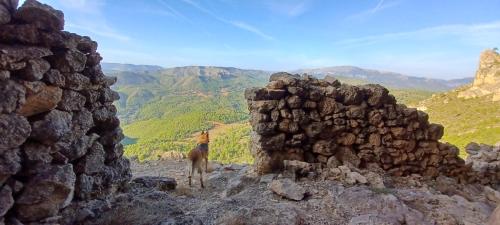 Φυσικό τοπίο κοντά σε αυτή η παραθεριστική κατοικία