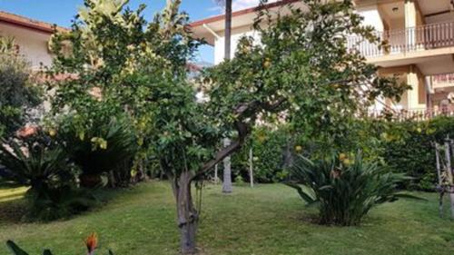 Taman di luar Marigrè Bella casa vacanze