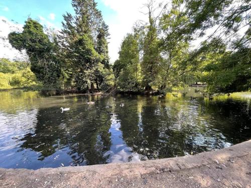 a body of water with trees and ducks in it at Immaculate 1 bedroom apartment in Orpington in Orpington