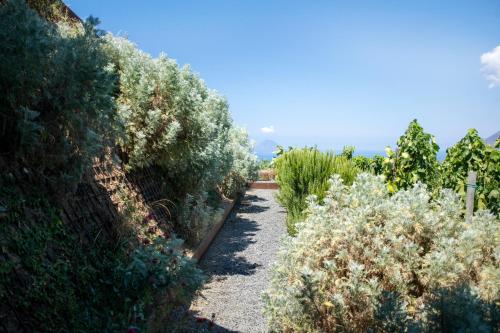 Castellaro Wine Resort – Photos 3