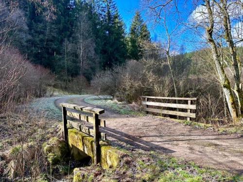 a fence on the side of a dirt road at Ferienhof A&B Wellness Villa 12 personen in Bullange