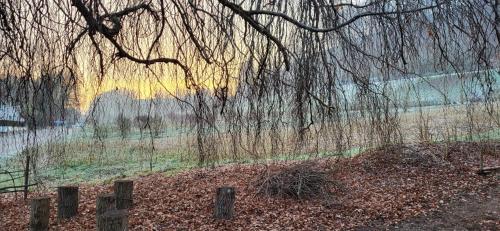 a fence with trees and a field in the background at Studio beim Rhein - Ziegelhütte in Flaach