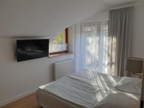 Μια τηλεόραση ή/και κέντρο ψυχαγωγίας στο Messina Apartamenty Wyspa Sobieszewska