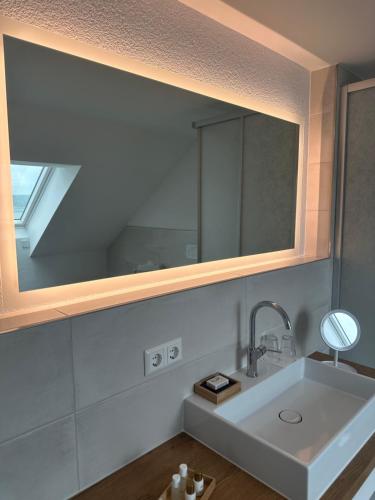 a bathroom with a sink and a mirror at Hotel Seegarten in Überlingen