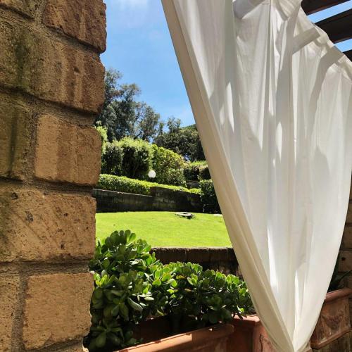 a view of a garden from a window with a curtain at Confortevole Bilocale Giardino Doppio Parcheggio in Punta Ala