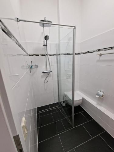 a bathroom with a glass shower and a toilet at Ferienwohnung auf der Stadtinsel in Havelberg