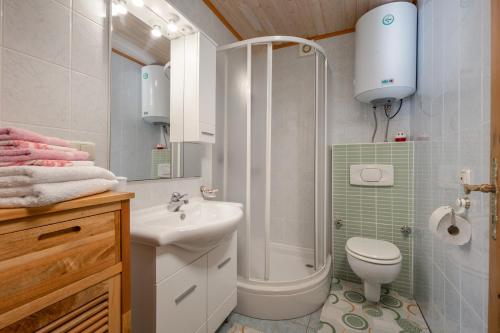 W łazience znajduje się prysznic, toaleta i umywalka. w obiekcie Apartmani Matić w mieście Mošćenička Draga