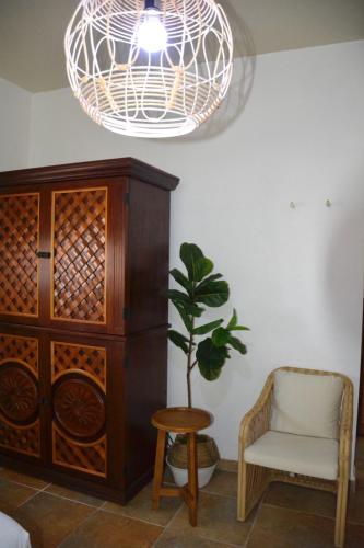 a wooden cabinet and a chair and a potted plant at Turtle Bay Inn in Lajas